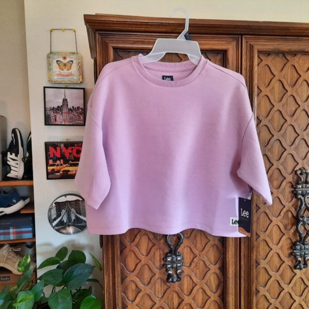 Lee Pink and Purple Crop Top with Relaxed Fit